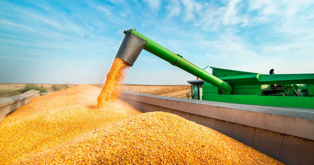 Agro brasileiro fatura valor recorde com exportações em julho
